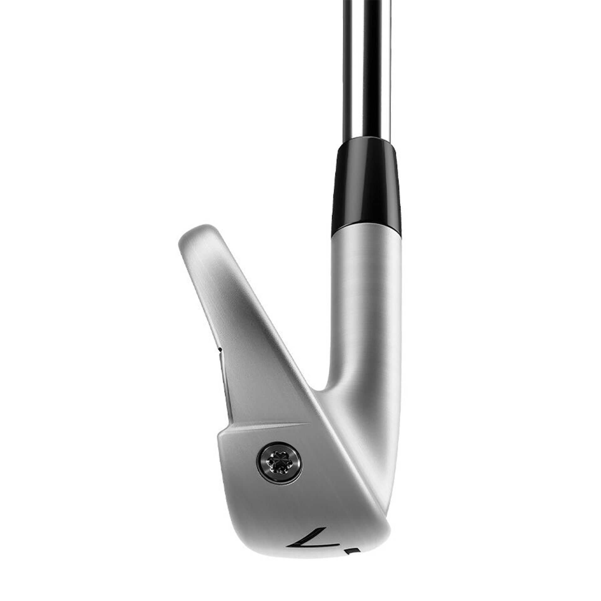 TaylorMade / P790 ('23)（５本セット） / カスタムデザイン