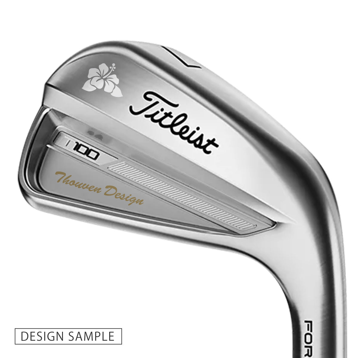 Titleist / T100（６本セット） / カスタムデザイン