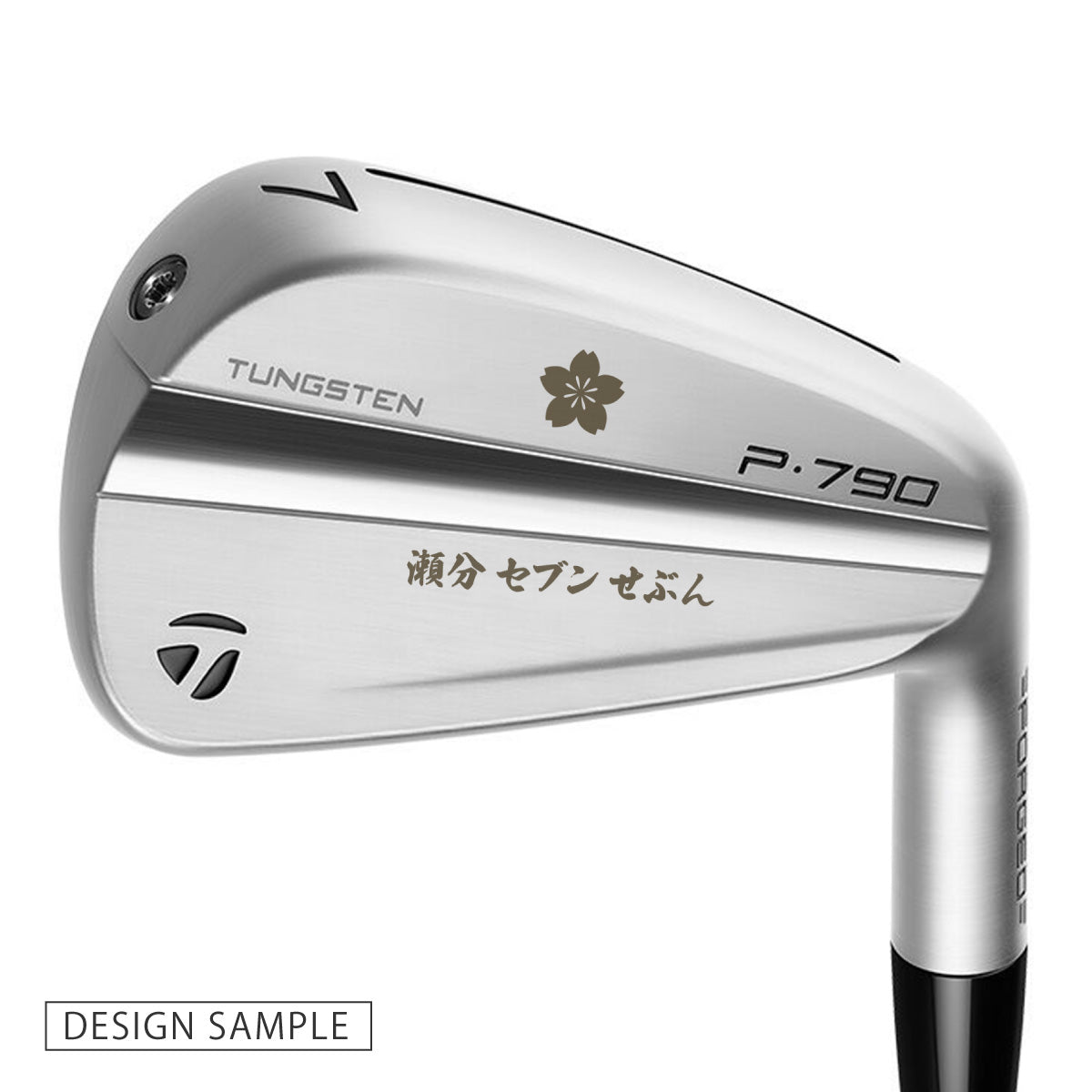 TaylorMade / P790 ('23)（５本セット） / カスタムデザイン